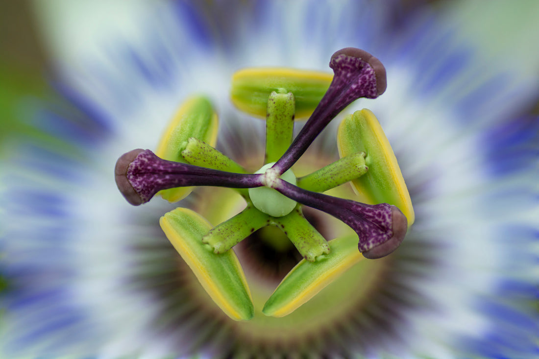 Fall Into Deep Sleep Within 7 mins Naturally (pacifies anxiety)