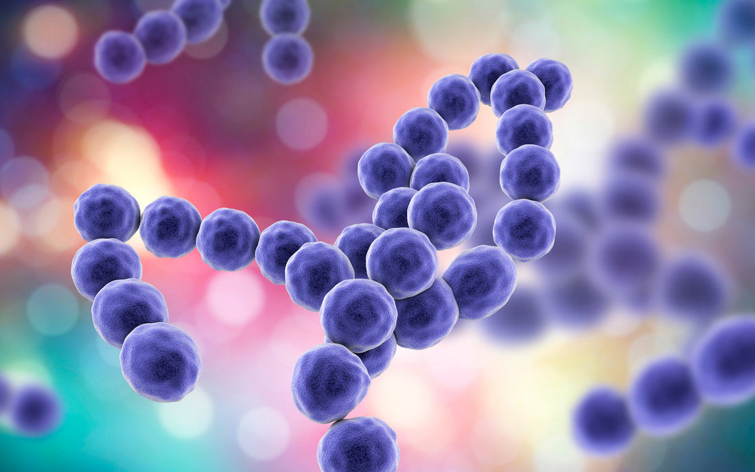 11 New Science Backed Herbs For Dream-Like 7 to 9 Hour Uninterrupted Sleeps in 2022