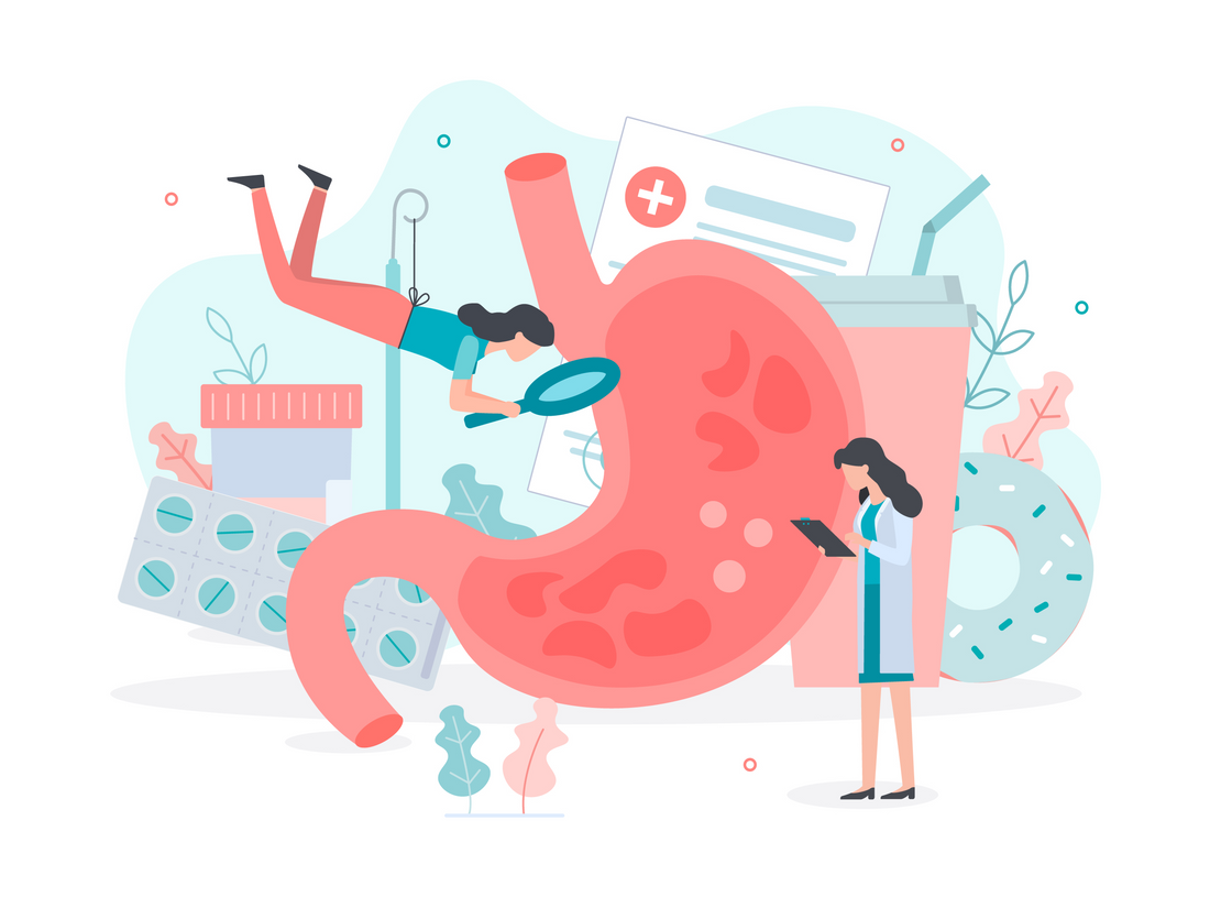 stomach illustration 