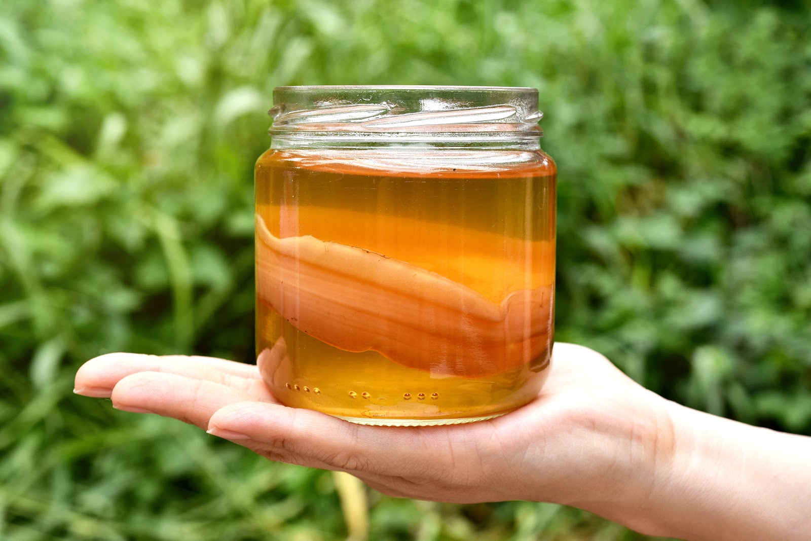 Kombucha Side Effects: What You Need to Know – Happy Mammoth AU