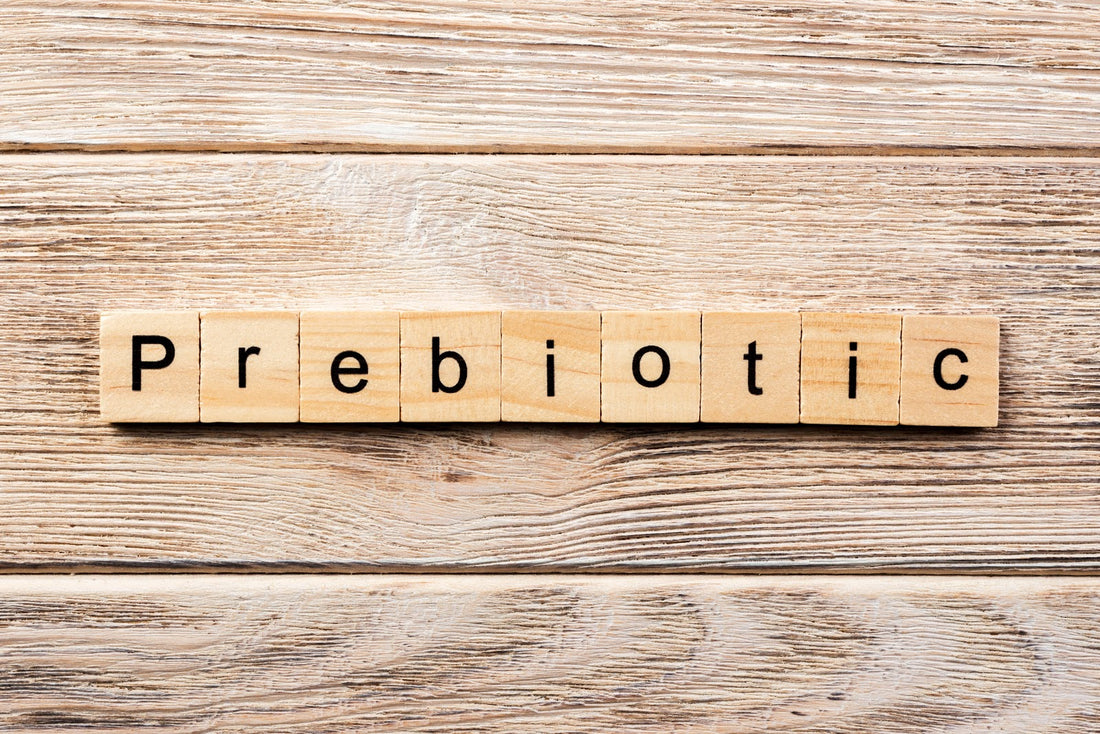 the word prebiotic made out of scrabble blocks