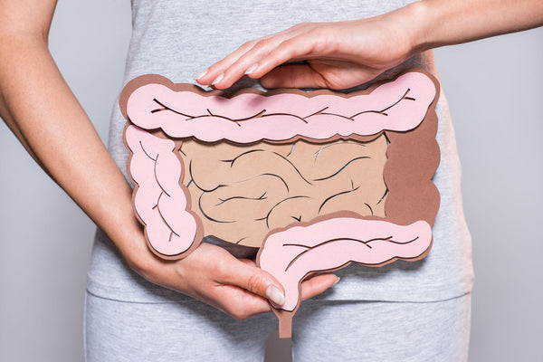 woman showing an illustration of the intestines