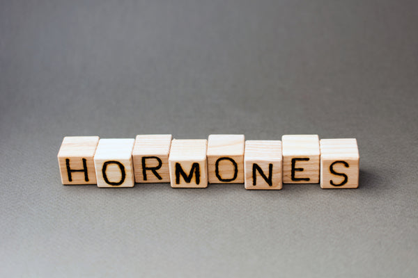 "Hormones" spelled with blocks