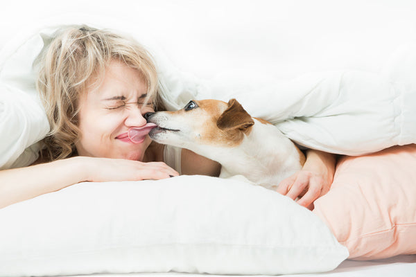 woman being kissed by a dog