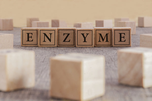 the word "enzyme" on wood blocks 
