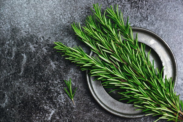 Rosemary, a herb with many benefits.