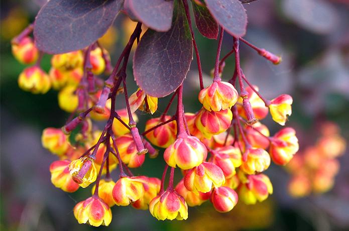 health, lifestyle & recipies