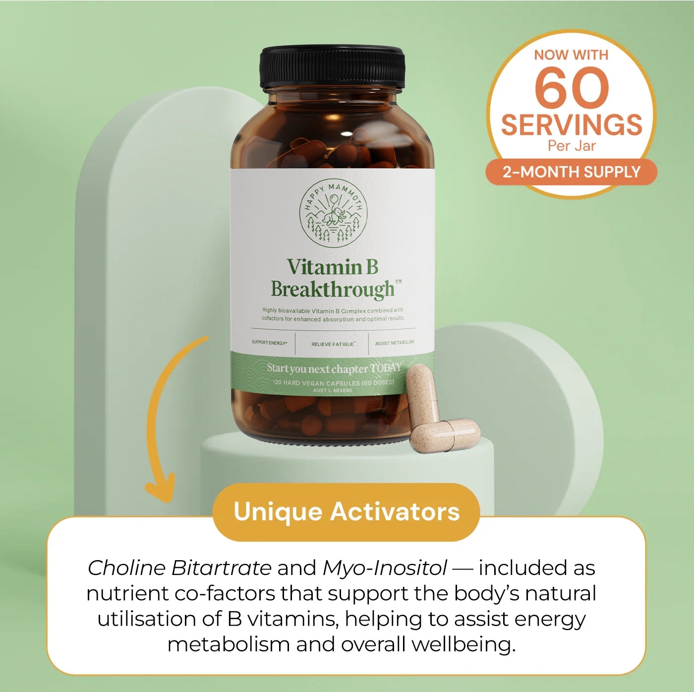 Vitamin B Breakthrough