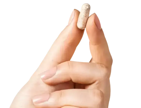 Quiz Image